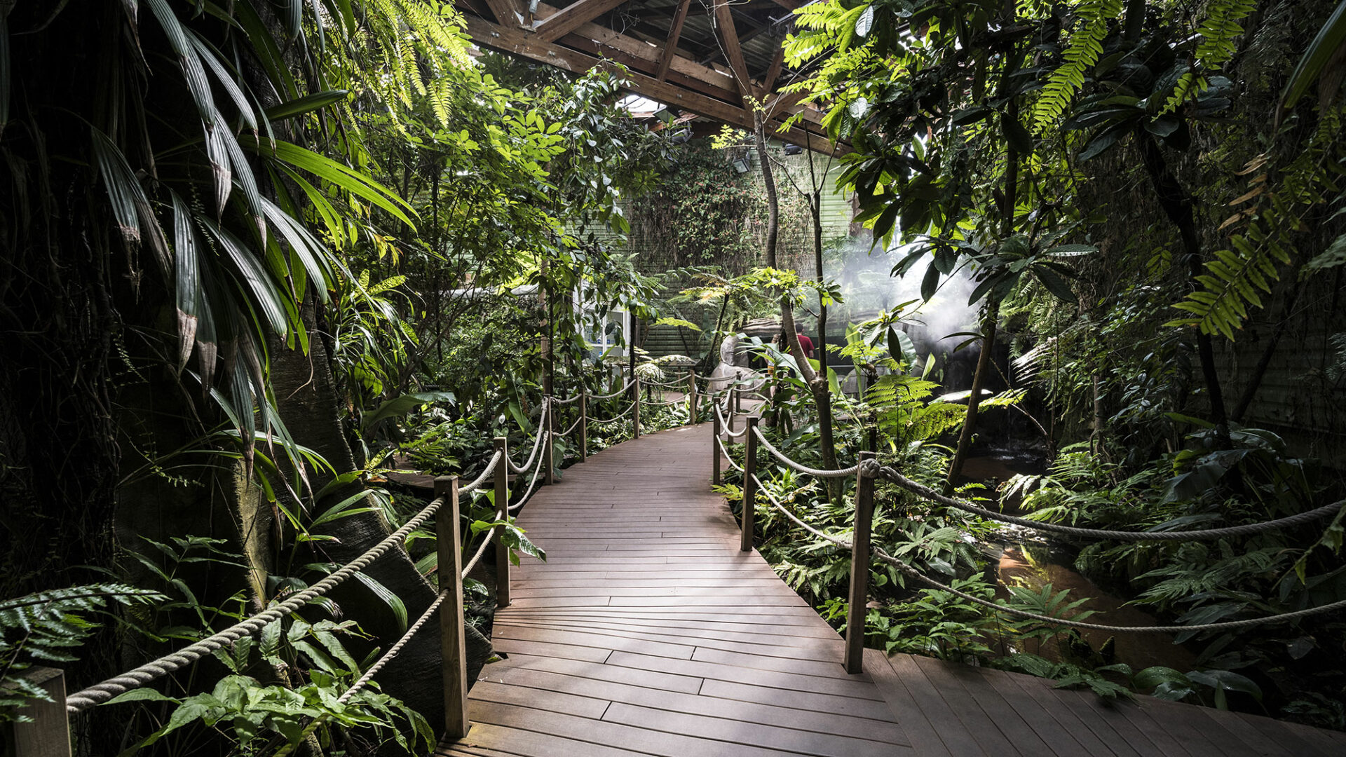 Serre tropicale, pavillon Tropical - © Océanopolis