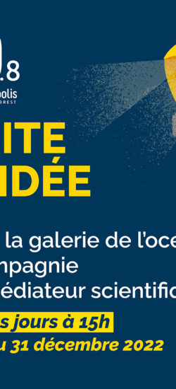 Du 17/12 au 31/12 : Profitez d’une visite guidée à 15h