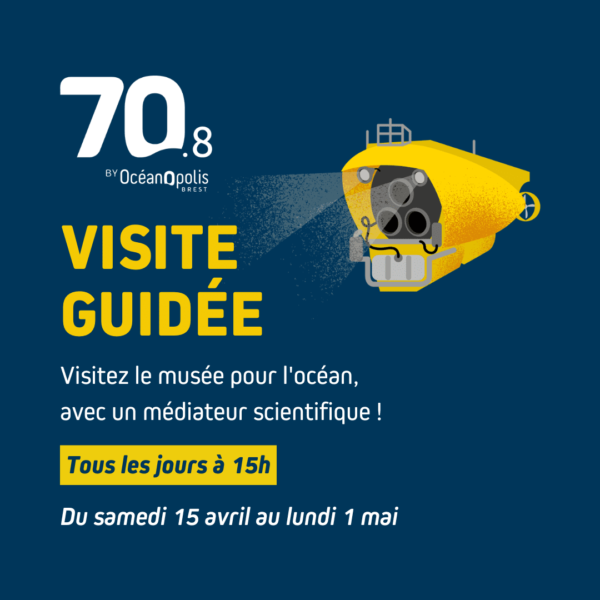 Visites guidées 70.8 printemps