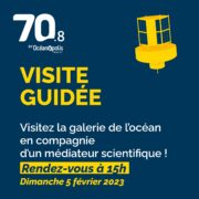 Retour des visites guidées