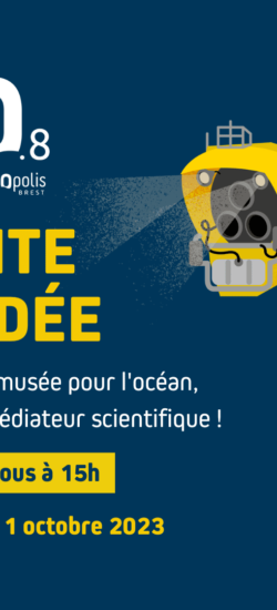 01/10 : Profitez d’une visite guidée à 15h