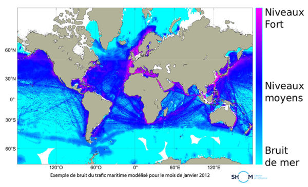 Carte niveau sonore trafic marin