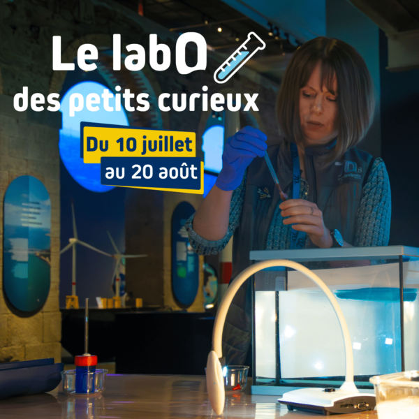 Le labo des petits curieux à 70.8, un musée pour l'océan