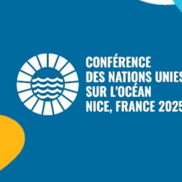 Visite guidée et visite connectée au 70.8, musée pour l&rsquo;océan