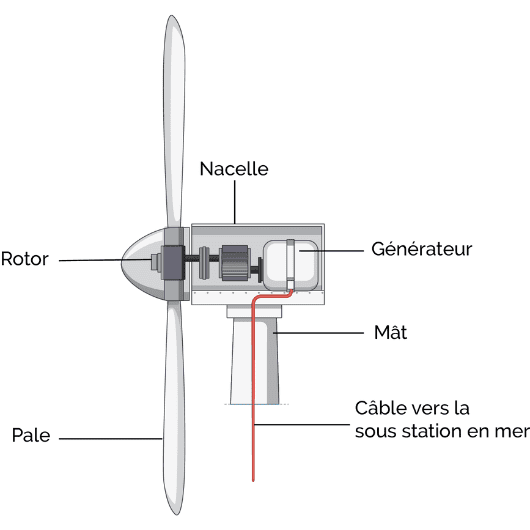 Schéma de la coupe d'une éolienne